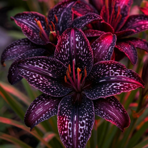 Лилейник Вояж купить по цене от 699р. в интернет-магазине «Посадика» с доставкой почтой в в Казани и по всей России – [изображение №1].